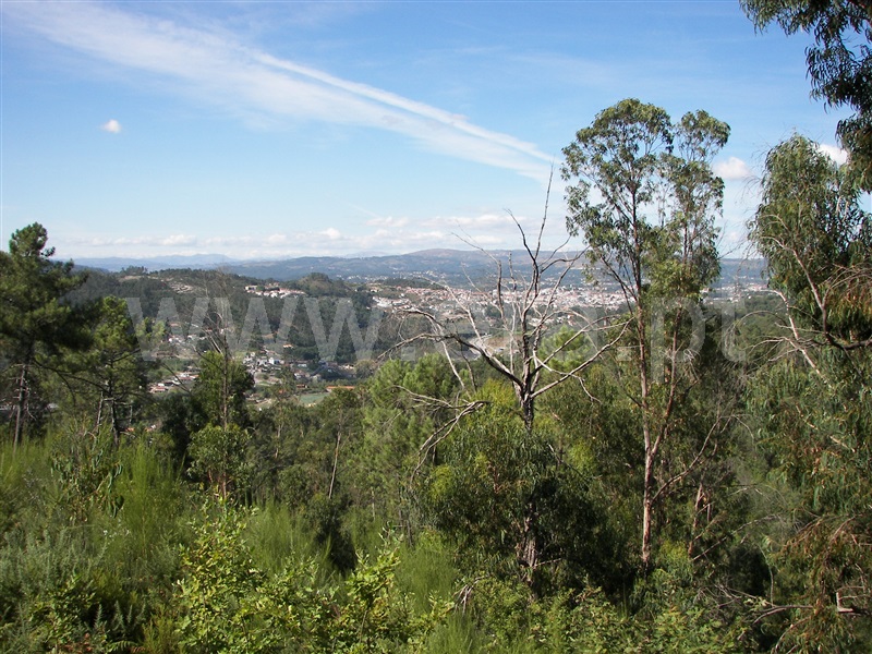 Terreno / Fafe, Armil