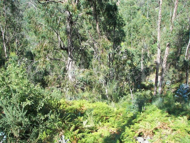Terreno  Fafe, Armil - 1108462 - 2