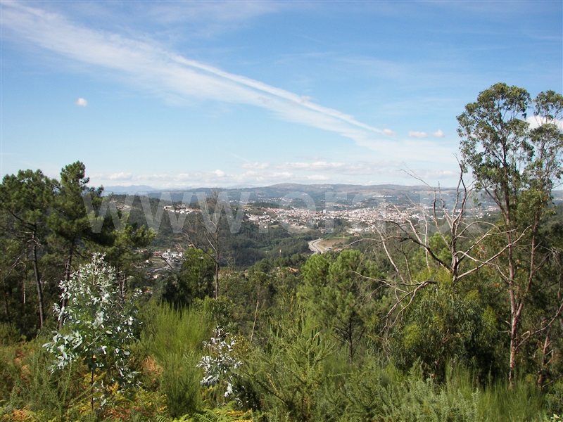 Terreno  Fafe, Armil - 1108462 - 3