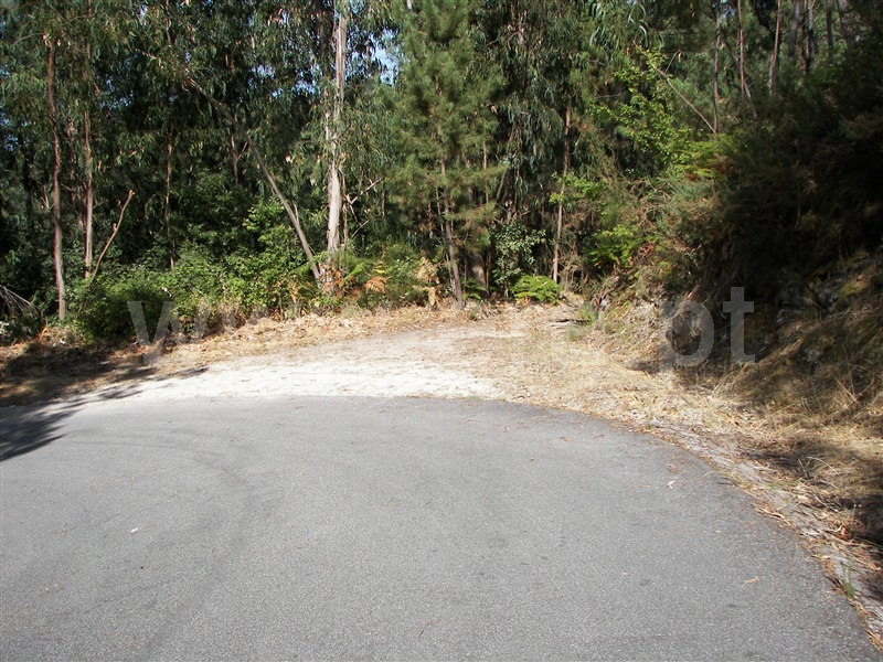 Terreno  Fafe, Armil - 1108462 - 6