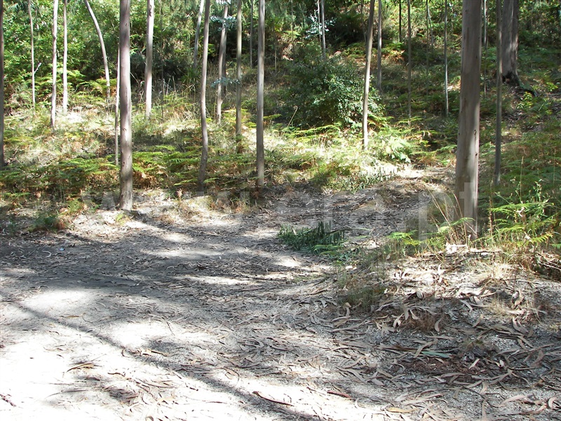 Terreno  Fafe, Armil - 1108462 - 7