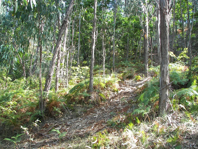 Terreno  Fafe, Armil - 1108462 - 14