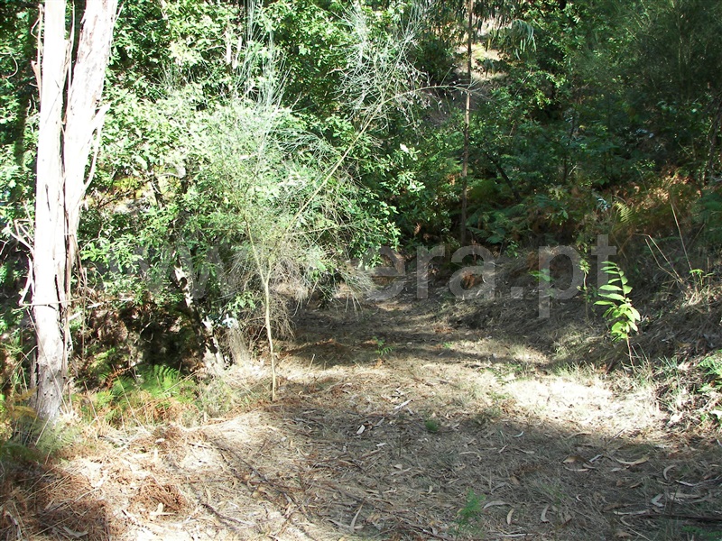 Terreno  Fafe, Armil - 1108462 - 16