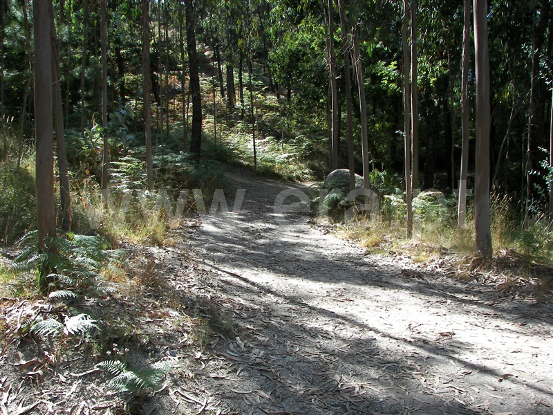 Terreno  Fafe, Armil - 1108462 - 17