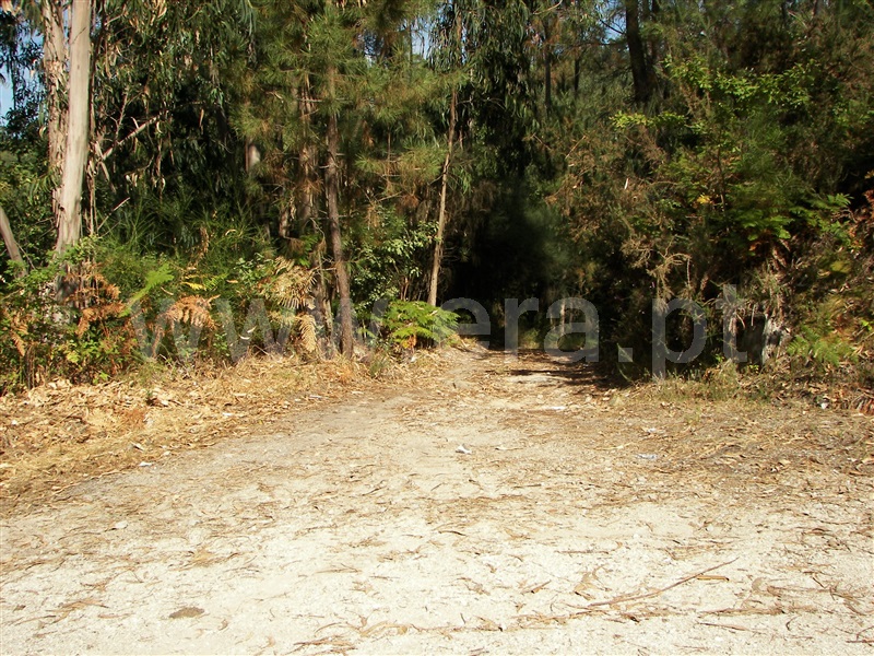 Terreno  Fafe, Armil - 1317246 - 6