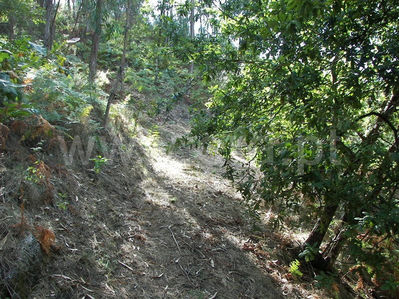 Terreno  Fafe, Armil - 1317246 - 13