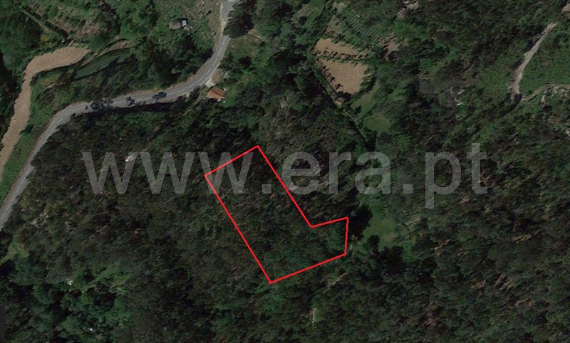 Terreno  Fafe, Armil - 1317246 - 18