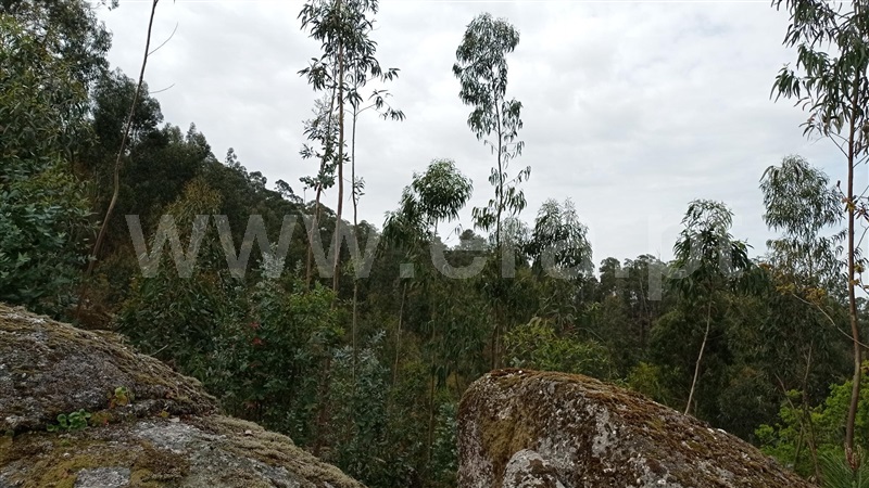 Terreno  Fafe, Armil - 1320176 - 2