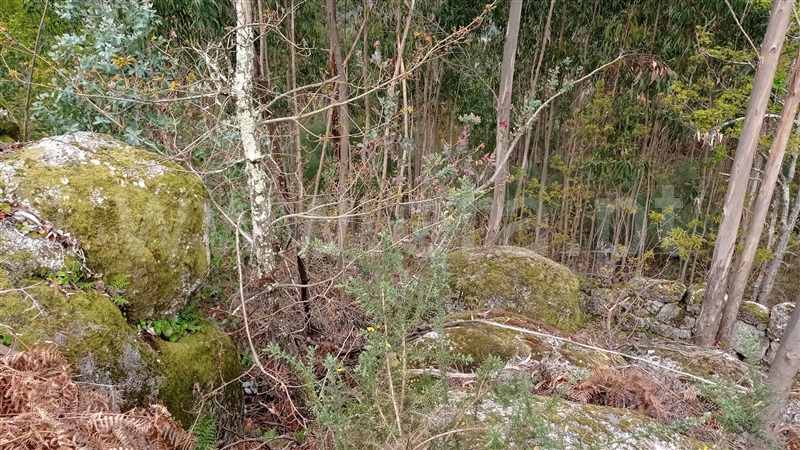 Terreno  Fafe, Armil - 1320176 - 4