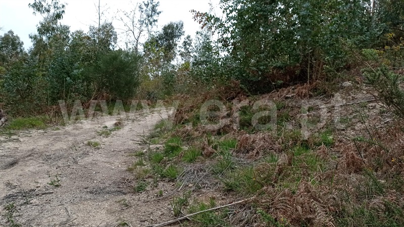 Terreno  Fafe, Armil - 1320176 - 5