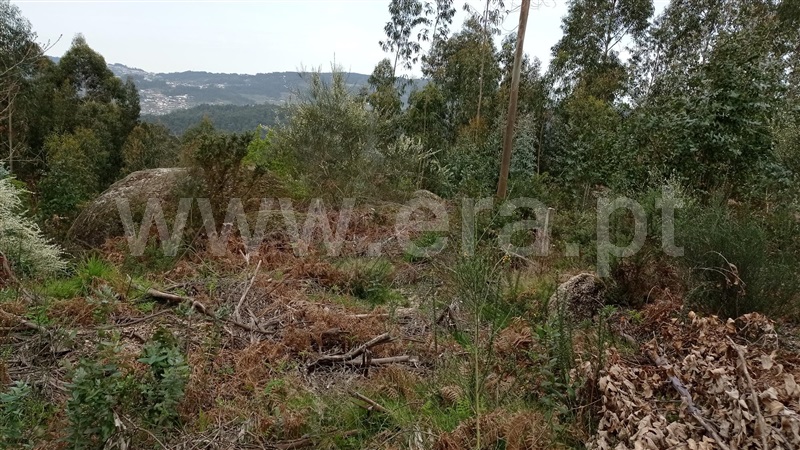 Terreno  Fafe, Armil - 1320176 - 8