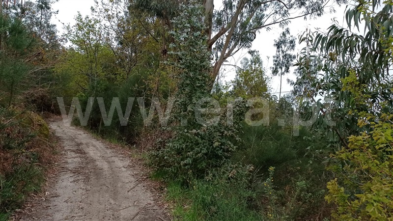 Terreno  Fafe, Armil - 1320176 - 9