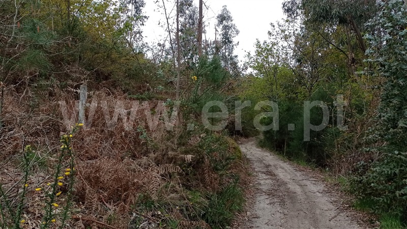Terreno  Fafe, Armil - 1320176 - 10