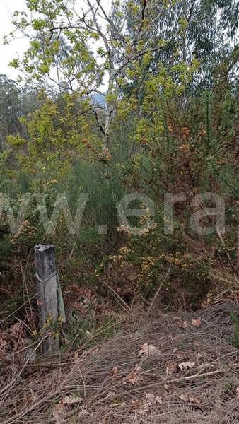 Terreno  Fafe, Armil - 1320176 - 14