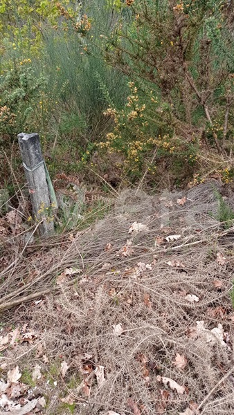 Terreno  Fafe, Armil - 1320176 - 15