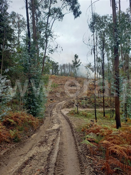 Terreno / Fafe, Armil