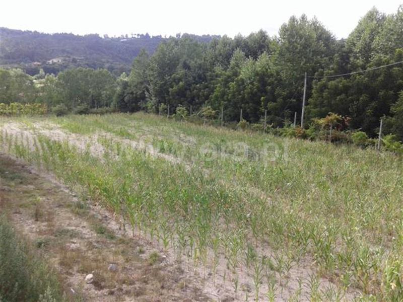 Terreno  Fafe, Arões (Santa Cristina) - 668937 - 3