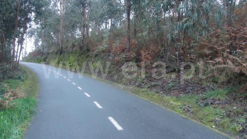 Terreno  Fafe, Arões (Santa Cristina) - 702939 - 2