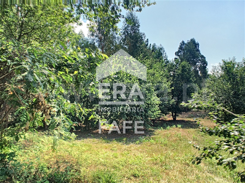 Terreno  Fafe, Arões (Santa Cristina) - 730355 - 4