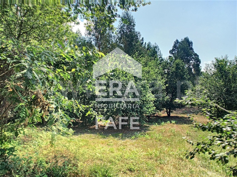 Terreno  Fafe, Arões (Santa Cristina) - 730355 - 6