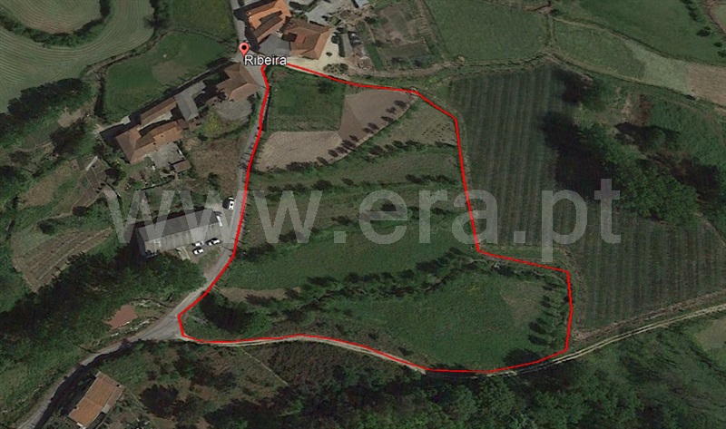 Terreno / Fafe, Arões (Santa Cristina)