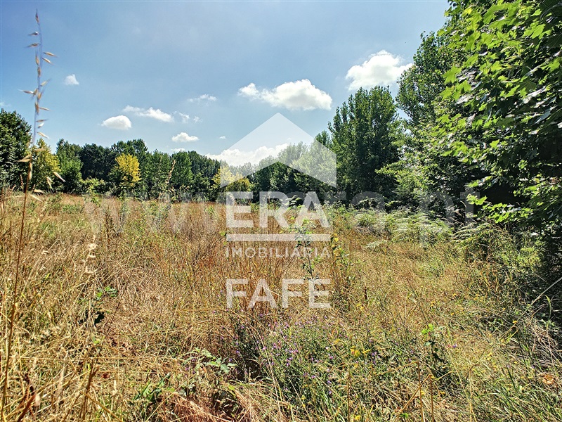 Terreno  Fafe, Arões (Santa Cristina) - 730360 - 3