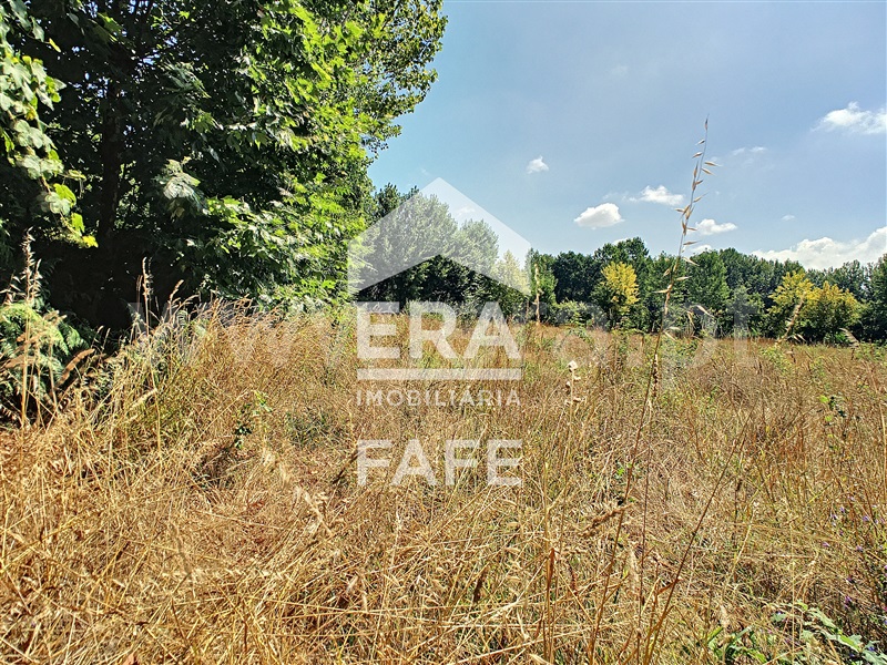 Terreno  Fafe, Arões (Santa Cristina) - 730360 - 4