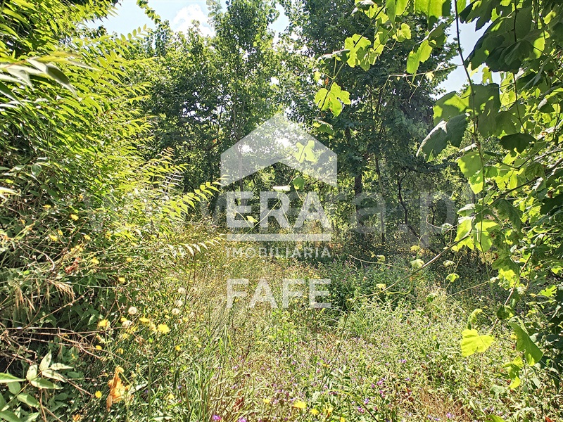 Terreno  Fafe, Arões (Santa Cristina) - 730360 - 7