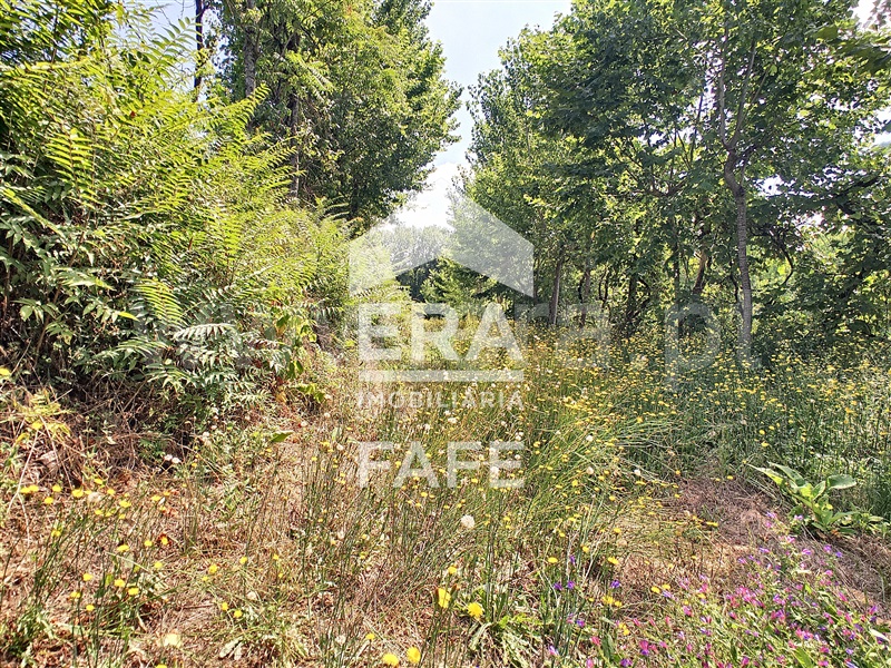 Terreno  Fafe, Arões (Santa Cristina) - 730360 - 8