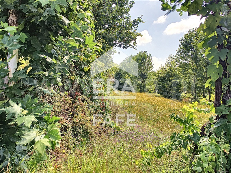 Terreno  Fafe, Arões (Santa Cristina) - 730360 - 9