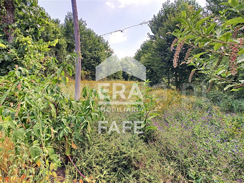 Terreno  Fafe, Arões (Santa Cristina) - 730360 - 10