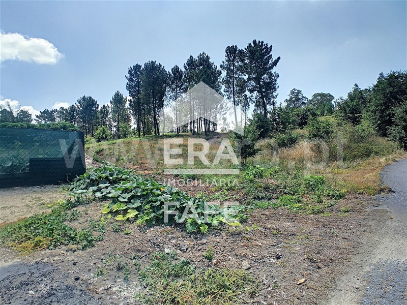 Terreno  Fafe, Arões (Santa Cristina) - 730361 - 5