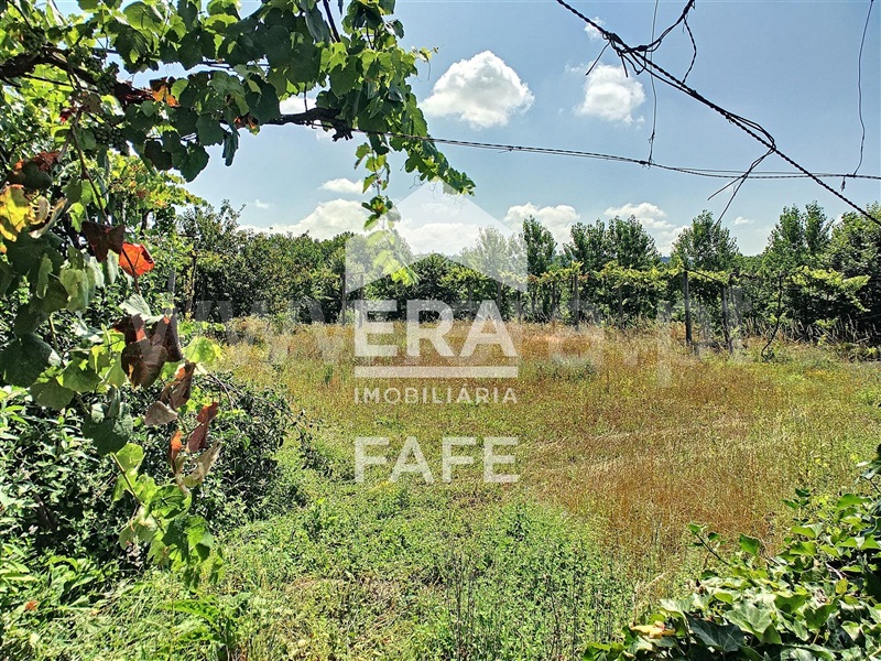 Terreno  Fafe, Arões (Santa Cristina) - 730366 - 6