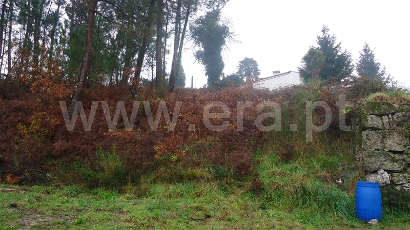 Terreno  Fafe, Arões (Santa Cristina) - 852806 - 3