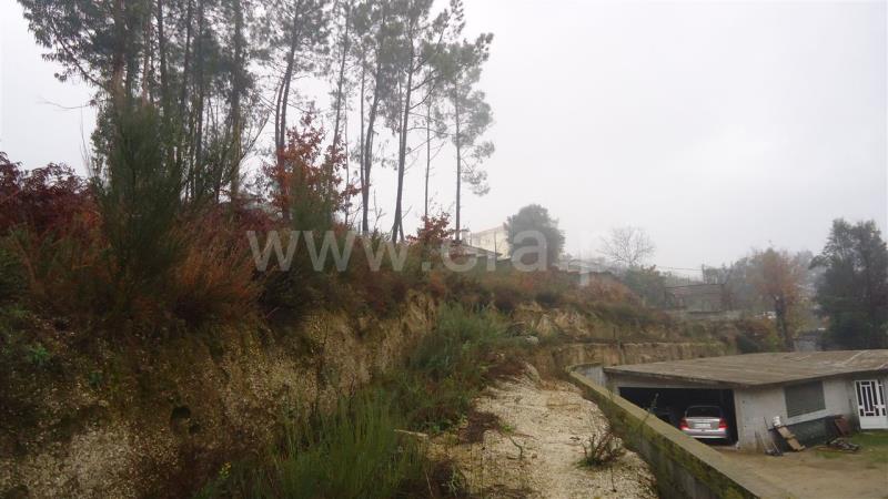 Terreno / Fafe, Arões (Santa Cristina)