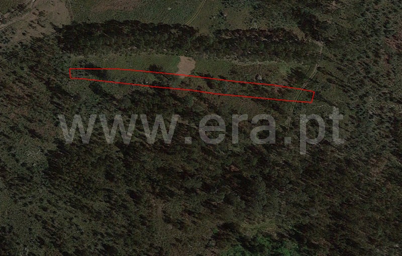 Terreno  Fafe, Arões (São Romão) - 1133528 - 8