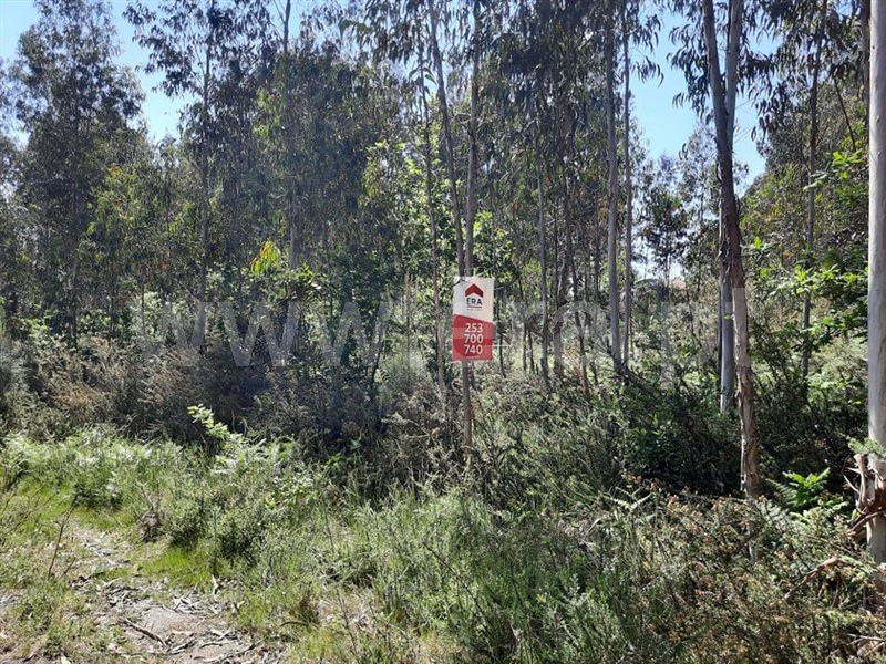Terreno  Fafe, Arões (São Romão) - 1133528 - 2