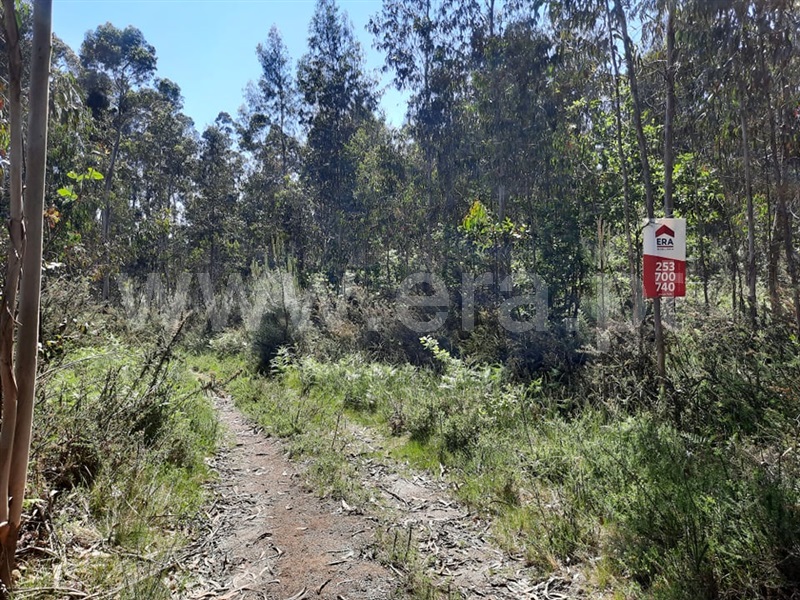 Terreno  Fafe, Arões (São Romão) - 1133528 - 1