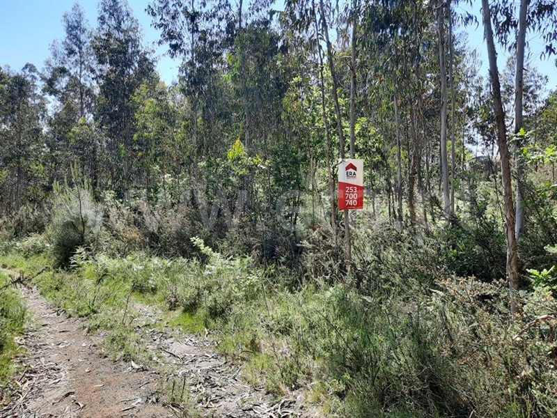 Terreno  Fafe, Arões (São Romão) - 1133528 - 4