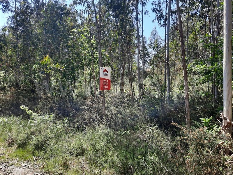 Terreno  Fafe, Arões (São Romão) - 1133528 - 5