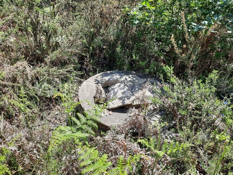 Terreno  Fafe, Arões (São Romão) - 1133528 - 7
