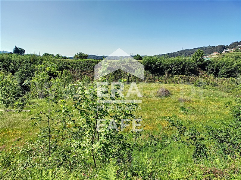 Terreno / Fafe, Arões (São Romão)