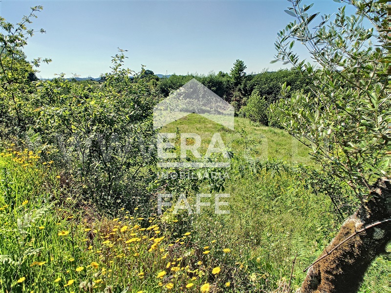 Terreno  Fafe, Arões (São Romão) - 1214797 - 5