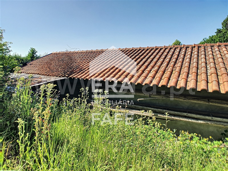 Terreno  Fafe, Arões (São Romão) - 1214797 - 7
