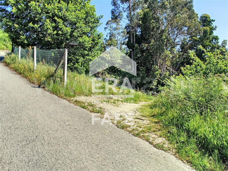 Terreno  Fafe, Arões (São Romão) - 1214797 - 8
