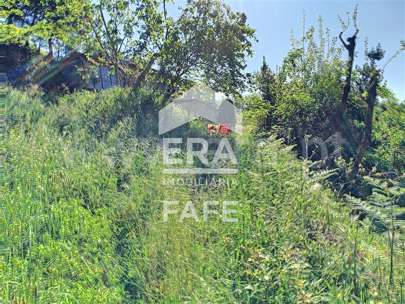 Terreno  Fafe, Arões (São Romão) - 1214797 - 12