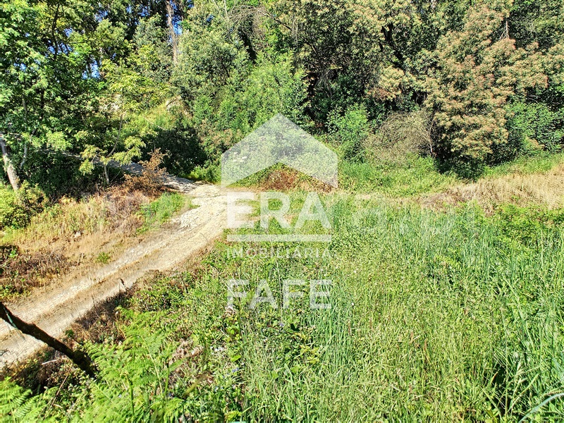 Terreno  Fafe, Arões (São Romão) - 1214797 - 19