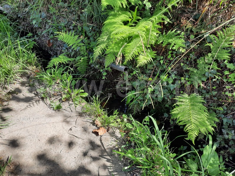 Terreno  Fafe, Arões (São Romão) - 1356507 - 3