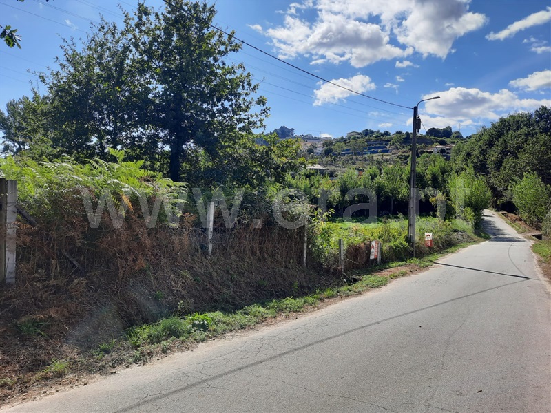 Terreno  Fafe, Arões (São Romão) - 1356507 - 5