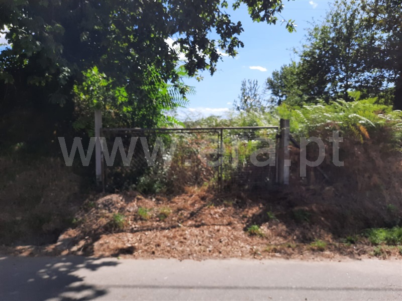Terreno  Fafe, Arões (São Romão) - 1356507 - 6